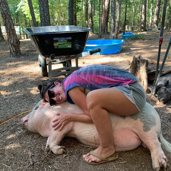 ❤Southern Oaks Sanctuary-All Sales Support our Non-Profit❤ - Picture 8 of 16